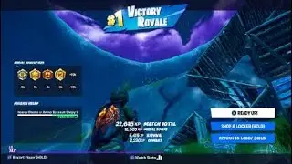 Fortnite dub