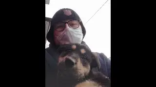 Щеночек из приюта. Граф.