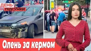 ЗАЕС на межі, ВИБИВАЛИ неіснуючі борги, у Запоріжжі побільшало ФОПів |День Підсумки 04.09