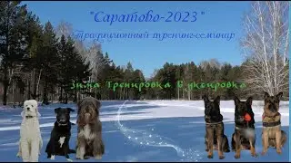 Саратово 2023