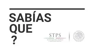 Las Normas de la STPS se dividen en 5 tipos