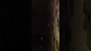 Я влюбилась