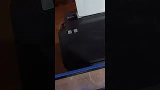 Epson L120/L121 Service Required! Resetting Epson L120