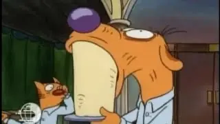 CatDog no context part 1!! (OOC)