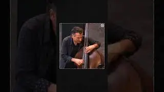 Monday Motivator, 3/11/24: John Patitucci, Darol Anger, Howard Levy, & Martin Taylor || ArtistWorks
