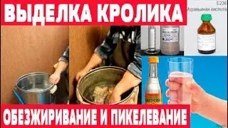 Обезжиривание и пикелевание шкуры  Выделка кролика  Часть 3