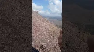 Reflejos