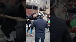 зоосун