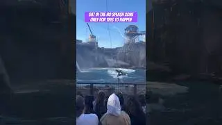 Sat in the NO SPLASH ZONE 