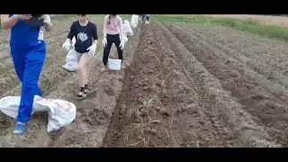 #покупка #грохотной_капалке и переделка её