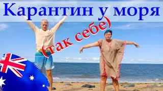 День из жизни НА КАРАНТИНЕ || #сидитедома в Австралии