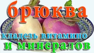 Брюква Секрет Богатырского Здоровья