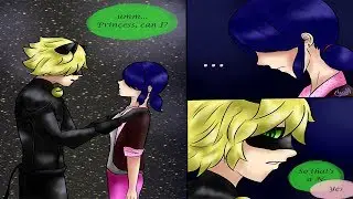 BUT THERE IS SOMEONE ELSE I LIKE !?/【miraculous ladybug comics】