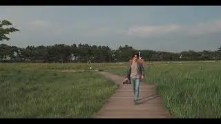 Cinematic View of Gaetgol Park in Korea