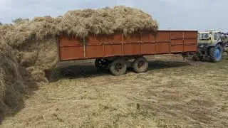 11 метровая сеновозка в работе