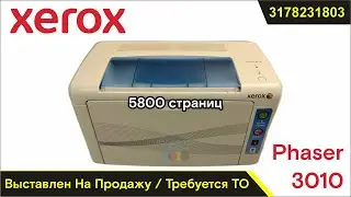 Xerox Phaser 3010 - 3178231803 / Up for Sale - Needs Maintenance