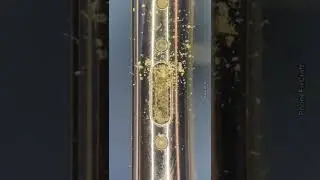 #Satisfying lightning port #cleaning under the #microscope 🔬#asmr #phonecleaning #phonefixcraft