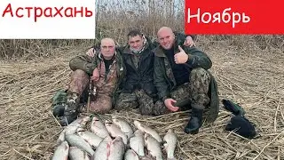 Астрахань.Рыбалка в ноябре.Ловля жереха на Козу.