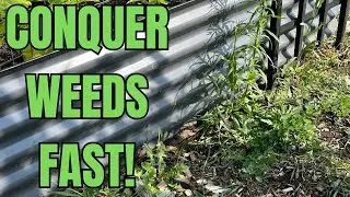Controlling Weeds Around Your Garden Beds - I Have The Solution!