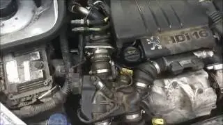 Replacing the timing belt and timing chain on a 1.6 HDI