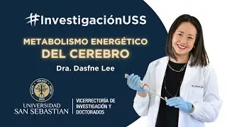 El estudio del metabolismo energético del cerebro