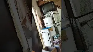 19 сентября 2023 г.
