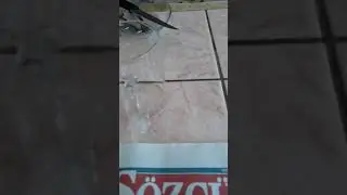 seks porno