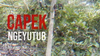 CAPEK NGEYUTUB - IDRCTX
