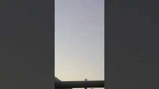 Нашествие стрекоз вторая часть 😲😲😲