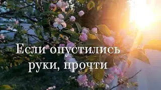 Если опустились руки, послушай это