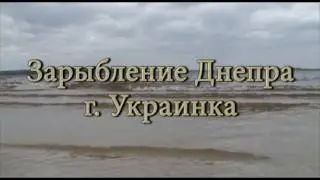 Зарыбление Днепра г. Украинка