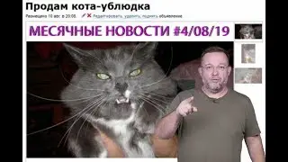МЕСЯЧНЫЕ НОВОСТИ #4 II Август 2019