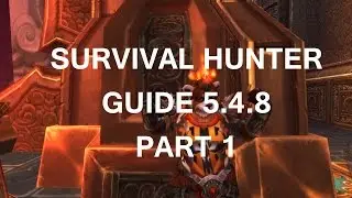 World of Wacraft MoP: Survival Hunter Guide 5.4.8 | Part 1