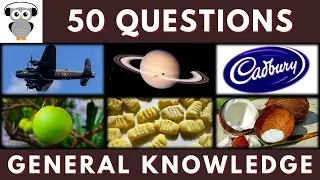 General Knowledge Quiz Trivia 