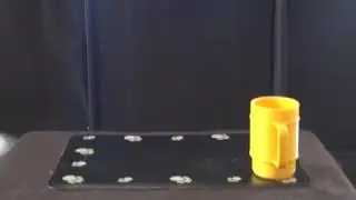 Useful dog tricks