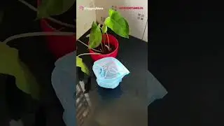 #DIY