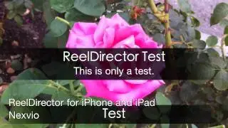 ReelDirector Test