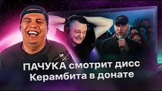 Пачука угарает над тем, как Керамбит диссит Поха на стриме Кубка