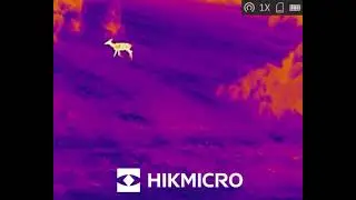 HIKMICRO LH19