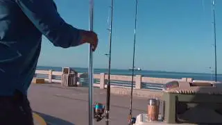 The Joy Fish Extendable Landing Net | A Must Have For Pier Fisherman