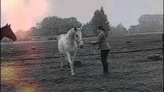 Alexa&Szikra