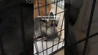 follow up coming