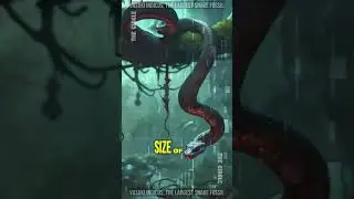 THIS IS THE LARGEST SNAKE IN THE WORLD