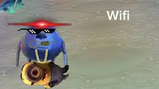 MemE island wIFI