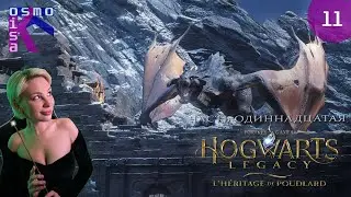 ПОДРАКОНИМ? Hogwarts. Legacy | Хогвартс. Наследие ➽ Прохождение №11 ➽ The eleventh stream