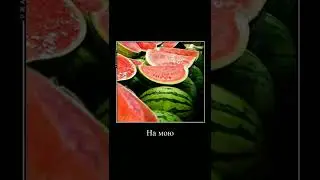 Арбузный мем | Евангелион | Evangelion AM