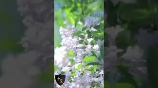 Вам никто ничего не должен! #shorts ДОНАТ 4441 1111 5398 6348 (поддержка канала)