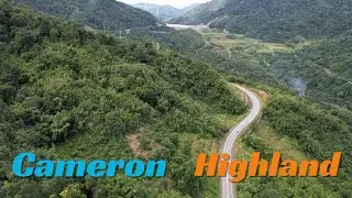 Exploring the Enchanting Beauty of Cameron Highlands 🌿✨ | A 2-Min Travel Escape