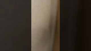 Дезинсекция