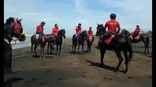 Viral !!! Tracking berkuda Pordasi Jepara dan Pati || di Donorojo